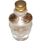 Apple Blossom von Duvinne