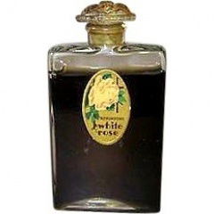 Pétales by Chantecaille Pétales by Chantecaille