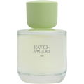 Ray of Applejuice by Zara