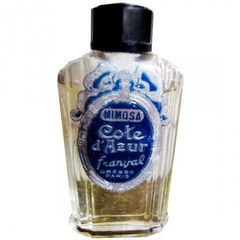 Mimosa von Franval