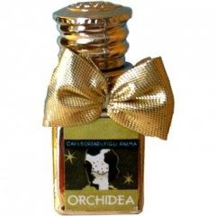 Orchidea by Borsari 1870
