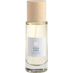 Rosa Vere von Rosae Virtus