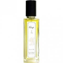 Crop V May - Rose de Mai by Crop