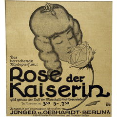 Rose der Kaiserin von Jünger & Gebhardt / Patrizier Haus Köln