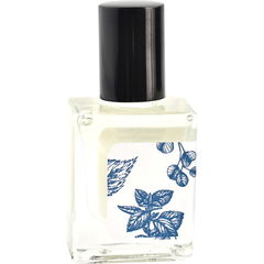Winter Light von Blooming Wild Botanicals