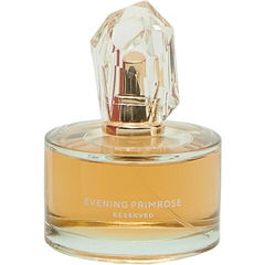 Evening Primrose by Reserved