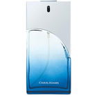 Active Man von Chris Adams