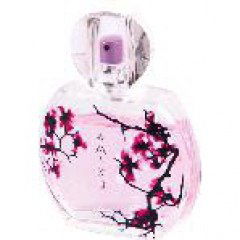 VIP for Him Black Edition by Playboy