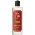 Méditerranée by 1881