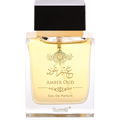 Amber Oud (Eau de Parfum) von Surrati / السرتي