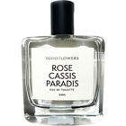 Rose Cassis Paradis von 1000 Flowers