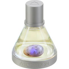 Ascent to Enchant by Ascention