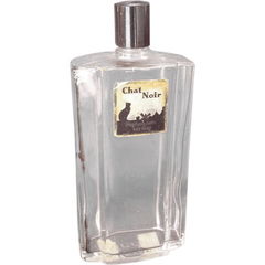 Chat Noir by Lady