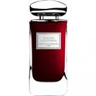 Rouge Nocturne by By Terry