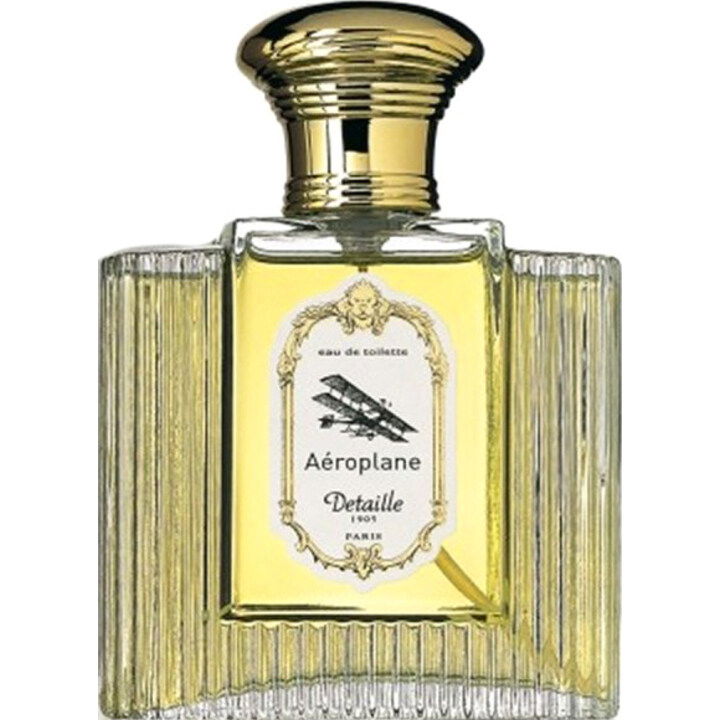 Aéroplane von Detaille