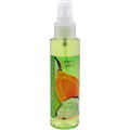 Coco Papaya von Forever Florals