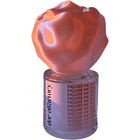 Figure Me Out by dor olfactory