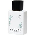 Pine Tree + Vetiver by Brûmée