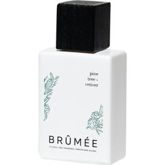 Pine Tree + Vetiver by Brûmée