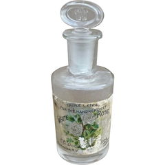 White Rose von C. B. Woodworth & Sons Co.
