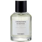 Cozumel by Laboratorio Olfattivo