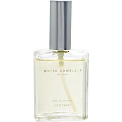 White Camellia von St. John