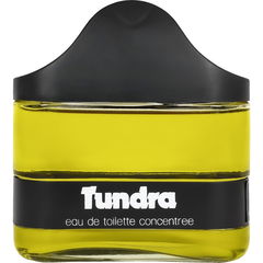 Tundra by Sojuz Parfums / Союзпарфюмерпром