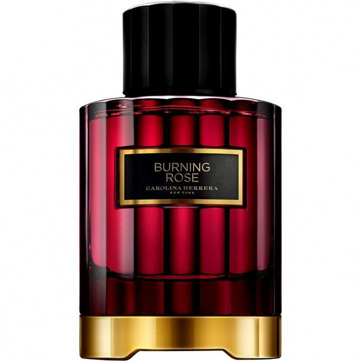 Burning Rose von Carolina Herrera