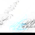 Edizione Reale 2018 by Acqua di Baviera