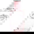 Infusion de Rose (2017)