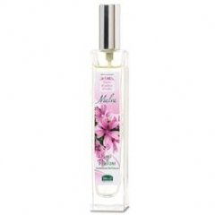 Fiori Radici Frutti - Malva by Helan Fiori Radici Frutti - Malva by Helan