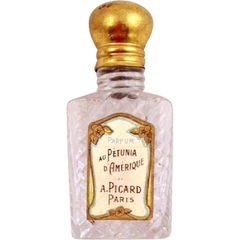 Au Pétunia d'Amérique by André Picard
