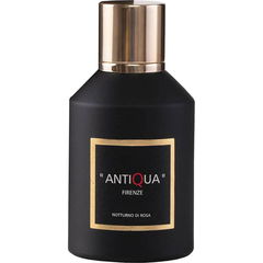 Notturno di Rosa by Antiqua Firenze