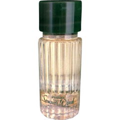 Würziger Sommer-Wind by Beiersdorf