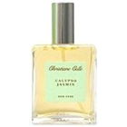 Calypso Jasmin by Calypso St. Barth