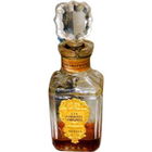 Chèvrefeuille von Nogara