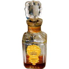 Chèvrefeuille von Nogara