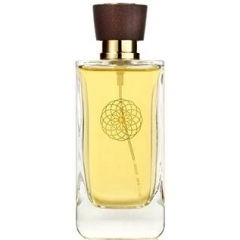 Loup des Steppes by Sama