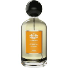 Miavana Sunrise von JAJI Parfumerie