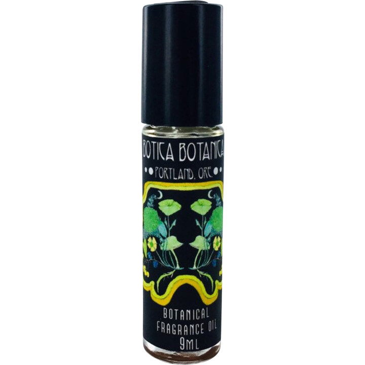 Jasmine '49 von Botica Botanica Jasmine '49 von Botica Botanica