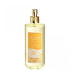 Le Jardin Infini - Amélie von Luxana