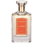 Expedição by Granado