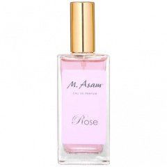 Rose von M. Asam