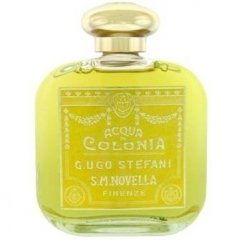 Verbena by Santa Maria Novella