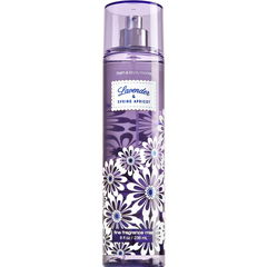 Lavender & Spring Apricot von Bath & Body Works