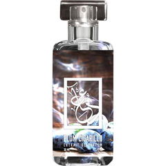 Plum Cigarillo von The Dua Brand / Dua Fragrances