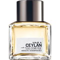 Viaje a Ceylan Hombre by Adolfo Dominguez