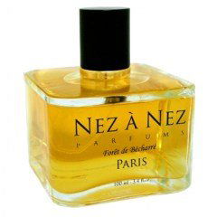 Forêt de Bécharré von Nez à Nez