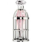 Caged Dream by Lipsy