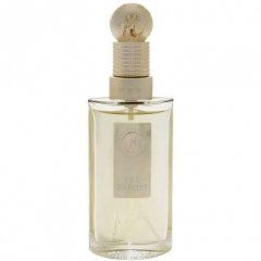 Suggestion Eau d'Argent by Montana